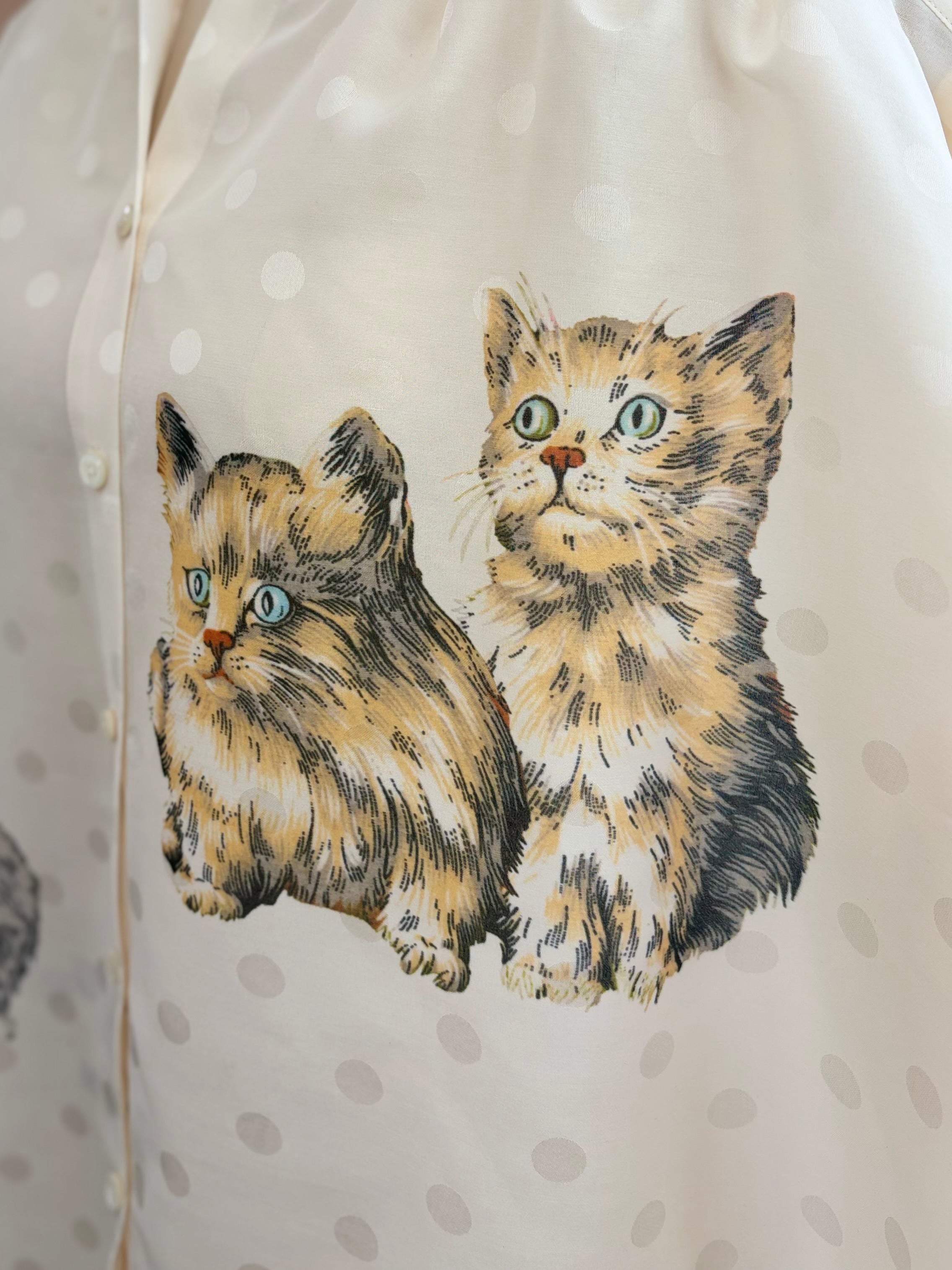 猫咪衬衫 10